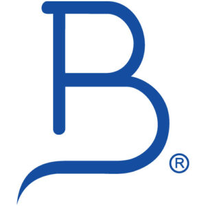 Logo Grupo BAL